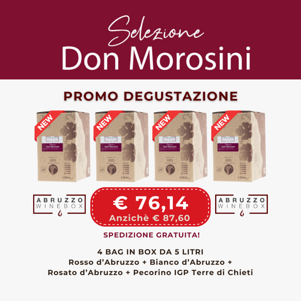 Pacchetto promo degustazione abruzzo wine box 5 litri