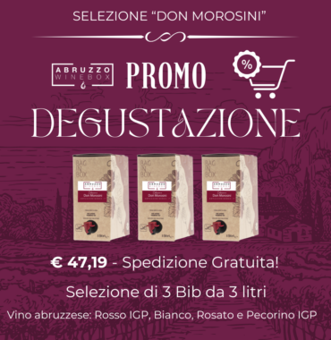 degustazione bag in box 3 litri vino d'abruzzo abruzzese