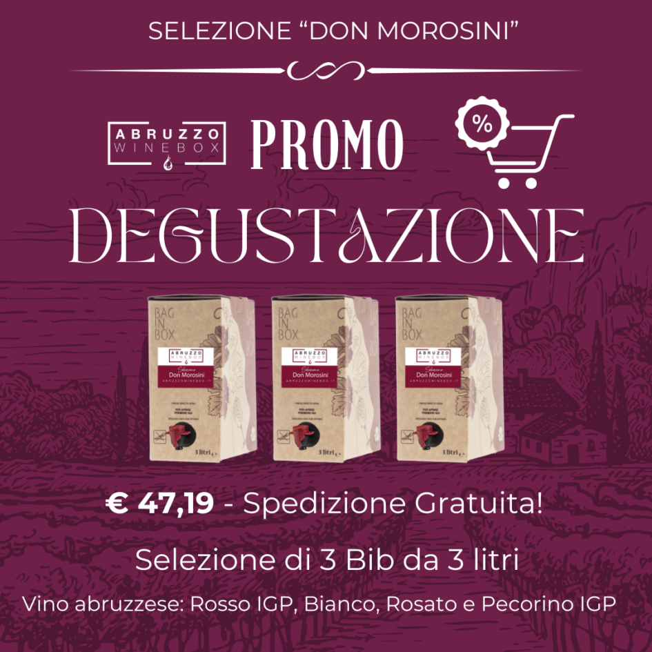 degustazione bag in box 3 litri vino d'abruzzo abruzzese